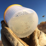 Varroa Check